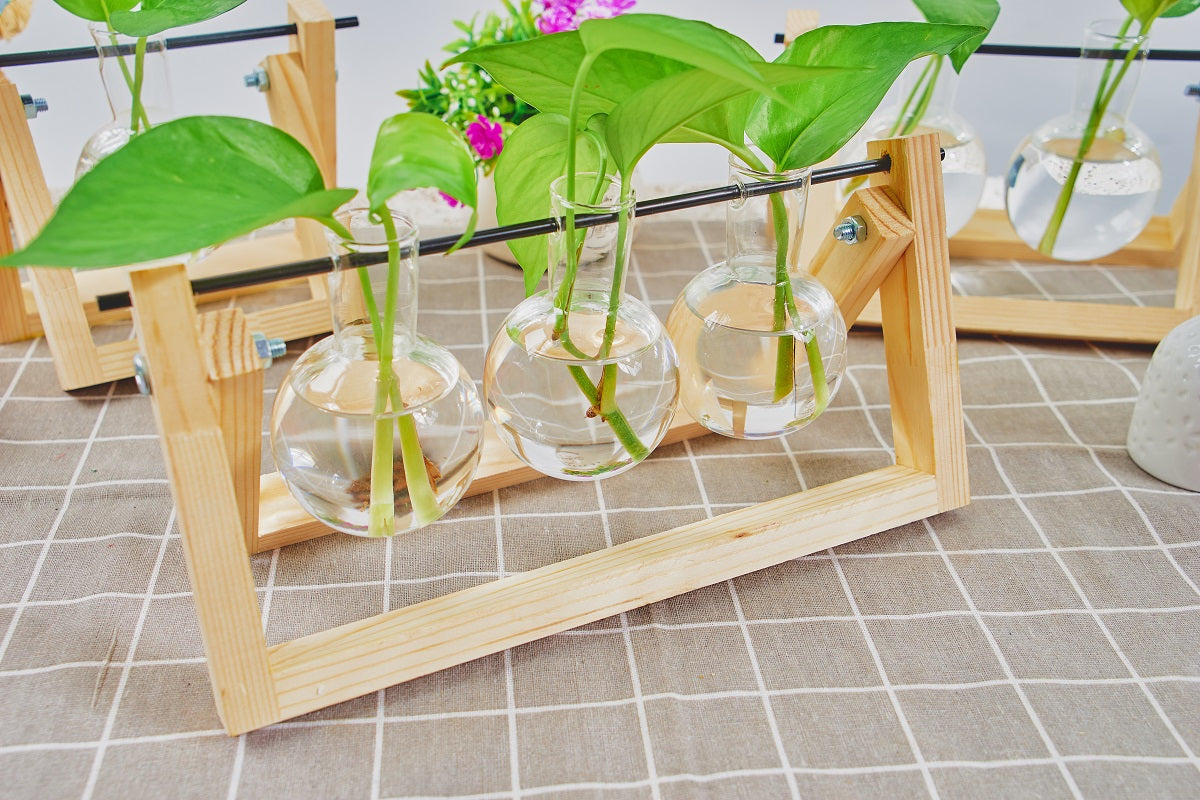 1pc Clear Glass Tabletop Planter Propagation Station in Wooden Rack Terrarium for Plants, Hydroponic Plant Vases for Office Home Decor Room Decoration