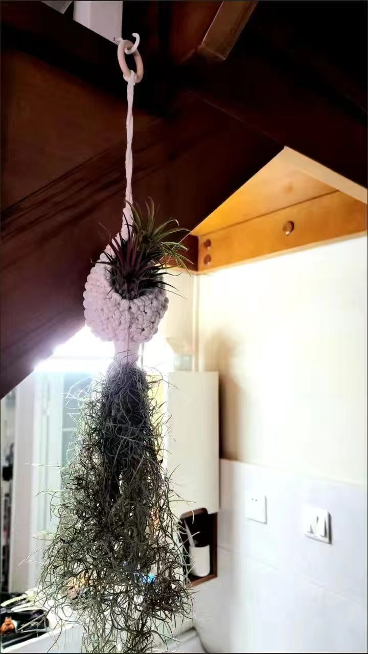 Gounong Handmade 1/2/3pcs, Indoor Small Plants, Bohemian Home Decoration Room Decoration Garden Indoor Garden, Hanging Flower Pots, Indoor Jungle, Bohemian Hanging Plants Hanging Air Plants Hanging Basket,