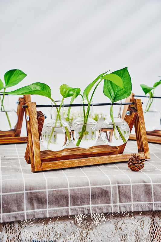 1pc Clear Glass Tabletop Planter Propagation Station in Wooden Rack Terrarium for Plants, Hydroponic Plant Vases for Office Home Decor Room Decoration