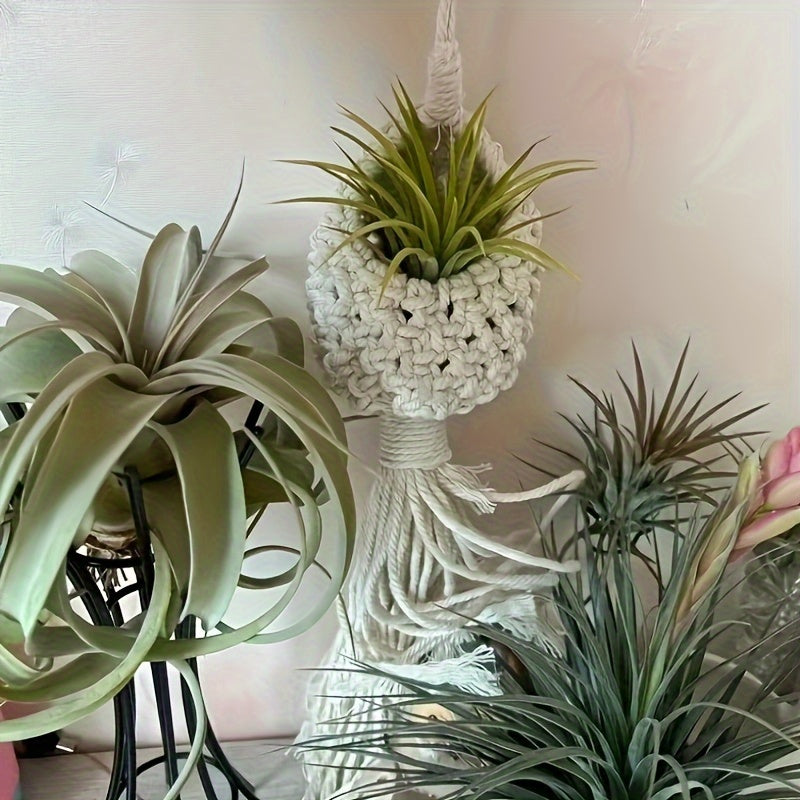 Gounong Handmade 1/2/3pcs, Indoor Small Plants, Bohemian Home Decoration Room Decoration Garden Indoor Garden, Hanging Flower Pots, Indoor Jungle, Bohemian Hanging Plants Hanging Air Plants Hanging Basket,